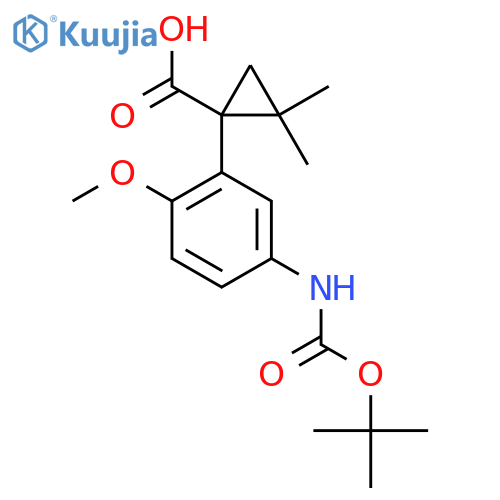 1-(5-{(tert-butoxy)carbonylamino}-2-methoxyphenyl)-2,2-dimethylcyclopropane-1-carboxylic acid structure