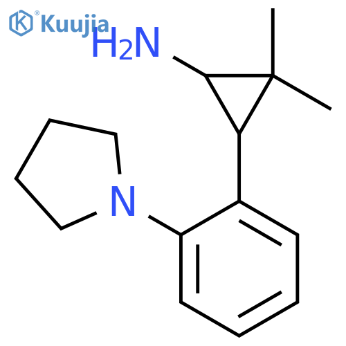 2,2-dimethyl-3-2-(pyrrolidin-1-yl)phenylcyclopropan-1-amine structure