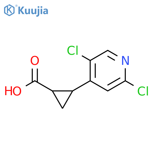 2-(2,5-dichloropyridin-4-yl)cyclopropane-1-carboxylic acid structure
