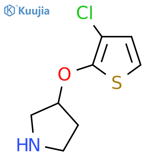 3-(3-chlorothiophen-2-yl)oxypyrrolidine structure