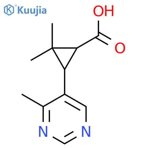 2,2-dimethyl-3-(4-methylpyrimidin-5-yl)cyclopropane-1-carboxylic acid structure