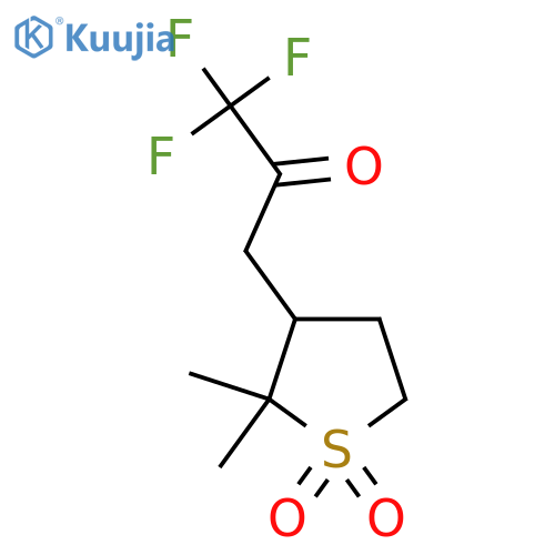 2,2-dimethyl-3-(3,3,3-trifluoro-2-oxopropyl)-1lambda6-thiolane-1,1-dione structure