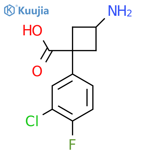 3-amino-1-(3-chloro-4-fluorophenyl)cyclobutane-1-carboxylic acid structure