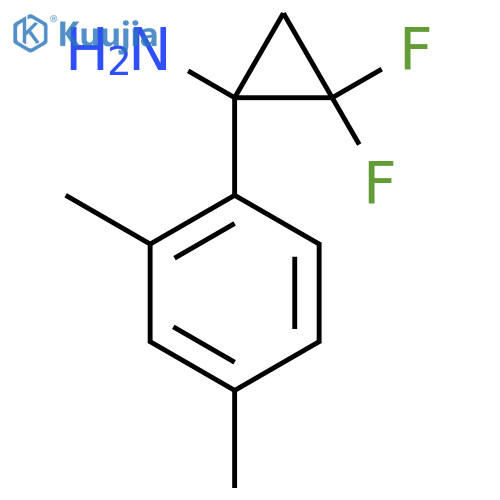 1-(2,4-dimethylphenyl)-2,2-difluorocyclopropan-1-amine structure
