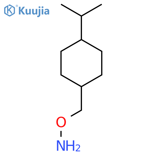 O-{4-(propan-2-yl)cyclohexylmethyl}hydroxylamine structure