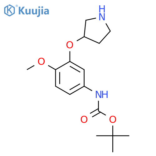 tert-butyl N-4-methoxy-3-(pyrrolidin-3-yloxy)phenylcarbamate structure