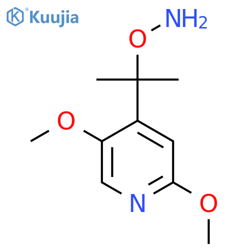 O-2-(2,5-dimethoxypyridin-4-yl)propan-2-ylhydroxylamine structure