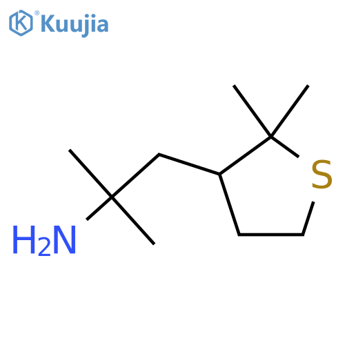 1-(2,2-dimethylthiolan-3-yl)-2-methylpropan-2-amine structure