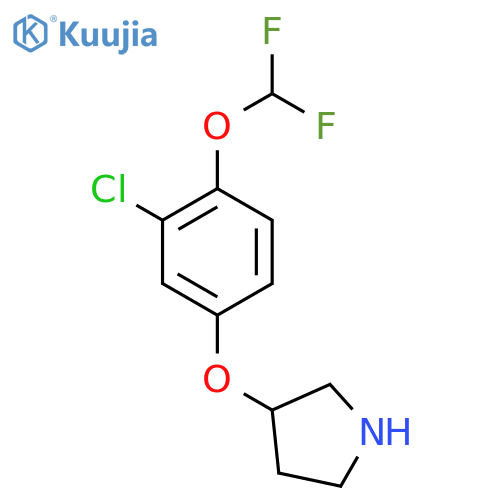 3-3-chloro-4-(difluoromethoxy)phenoxypyrrolidine structure