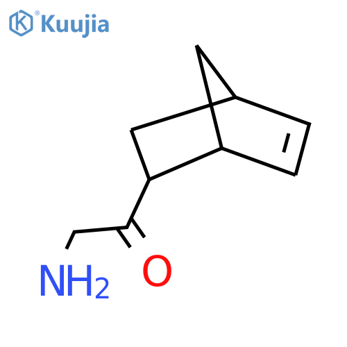 2-amino-1-{bicyclo2.2.1hept-5-en-2-yl}ethan-1-one structure