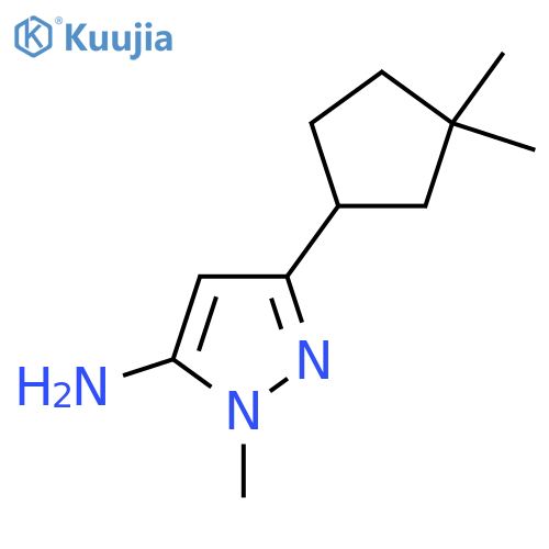 3-(3,3-dimethylcyclopentyl)-1-methyl-1H-pyrazol-5-amine structure