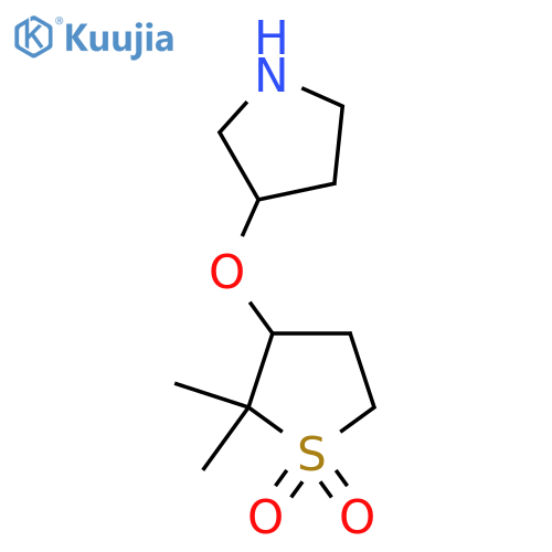 2,2-dimethyl-3-(pyrrolidin-3-yloxy)-1lambda6-thiolane-1,1-dione structure
