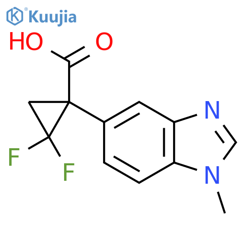 2,2-difluoro-1-(1-methyl-1H-1,3-benzodiazol-5-yl)cyclopropane-1-carboxylic acid structure