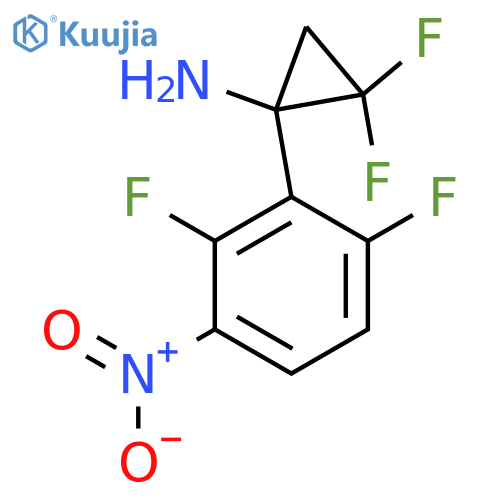 1-(2,6-difluoro-3-nitrophenyl)-2,2-difluorocyclopropan-1-amine structure