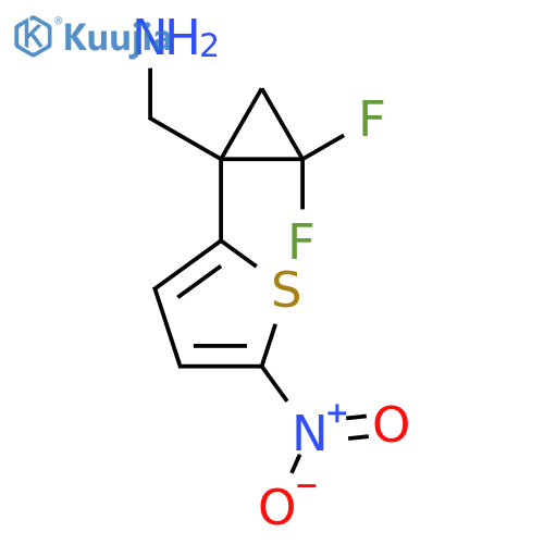 2,2-difluoro-1-(5-nitrothiophen-2-yl)cyclopropylmethanamine structure