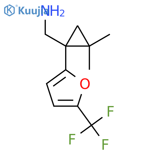 {2,2-dimethyl-1-5-(trifluoromethyl)furan-2-ylcyclopropyl}methanamine structure