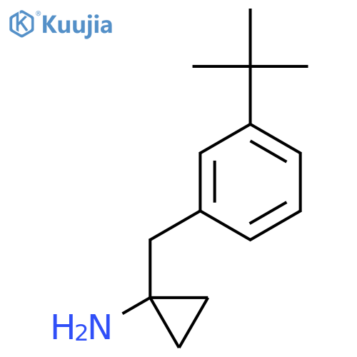 1-(3-tert-butylphenyl)methylcyclopropan-1-amine structure