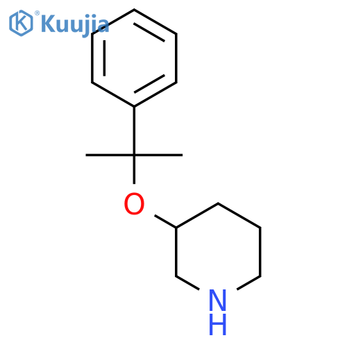 3-(2-phenylpropan-2-yl)oxypiperidine structure