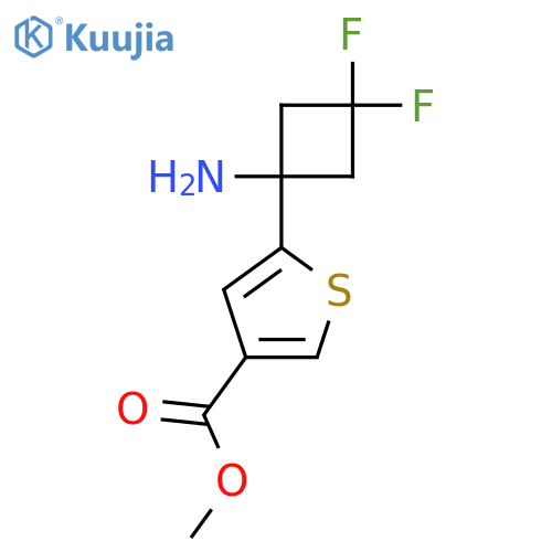 Methyl 5-(1-amino-3,3-difluorocyclobutyl)thiophene-3-carboxylate structure