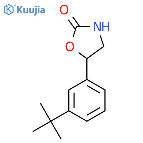 5-(3-tert-butylphenyl)-1,3-oxazolidin-2-one structure