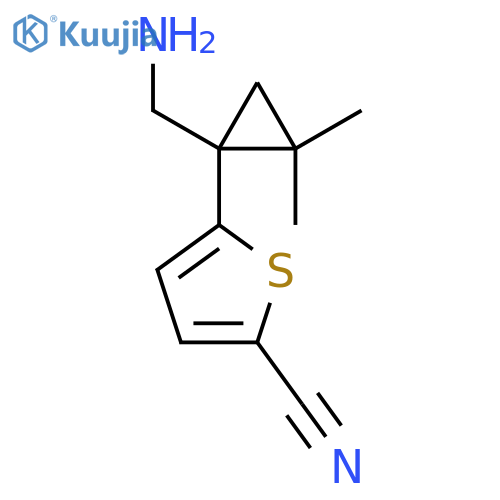 5-1-(aminomethyl)-2,2-dimethylcyclopropylthiophene-2-carbonitrile structure