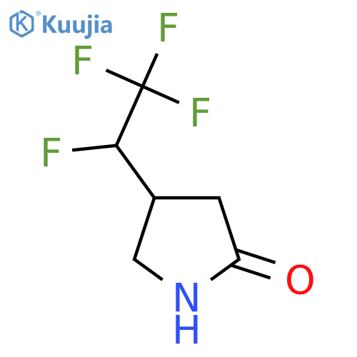 4-(1,2,2,2-tetrafluoroethyl)pyrrolidin-2-one structure