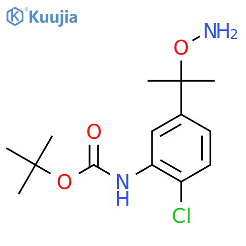 tert-butyl N-{5-2-(aminooxy)propan-2-yl-2-chlorophenyl}carbamate structure