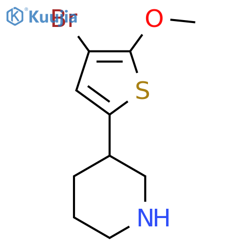 3-(4-bromo-5-methoxythiophen-2-yl)piperidine structure