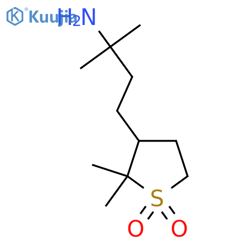 3-(3-amino-3-methylbutyl)-2,2-dimethyl-1lambda6-thiolane-1,1-dione structure