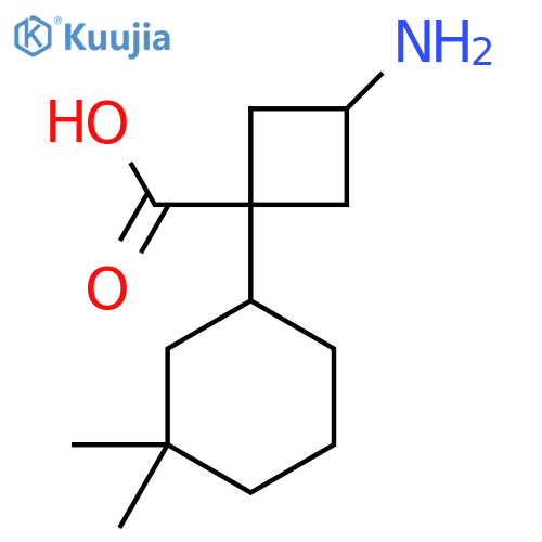 3-amino-1-(3,3-dimethylcyclohexyl)cyclobutane-1-carboxylic acid structure