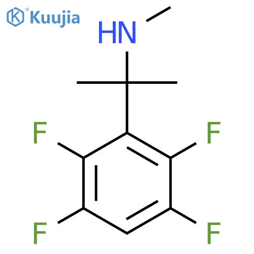 methyl2-(2,3,5,6-tetrafluorophenyl)propan-2-ylamine structure