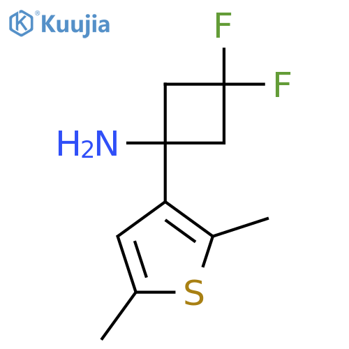 1-(2,5-dimethylthiophen-3-yl)-3,3-difluorocyclobutan-1-amine structure