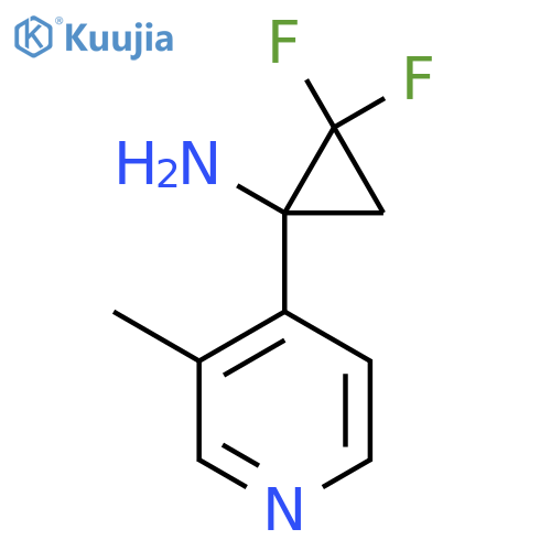 2,2-difluoro-1-(3-methylpyridin-4-yl)cyclopropan-1-amine structure