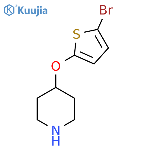 4-(5-bromothiophen-2-yl)oxypiperidine structure