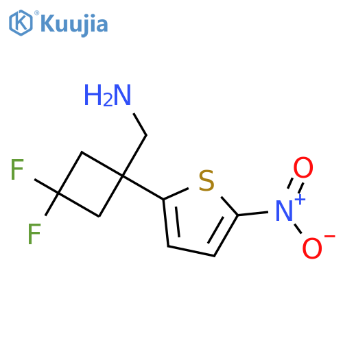 3,3-difluoro-1-(5-nitrothiophen-2-yl)cyclobutylmethanamine structure