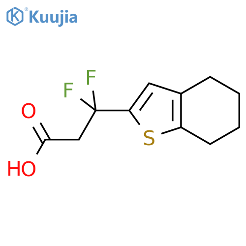 3,3-difluoro-3-(4,5,6,7-tetrahydro-1-benzothiophen-2-yl)propanoic acid structure