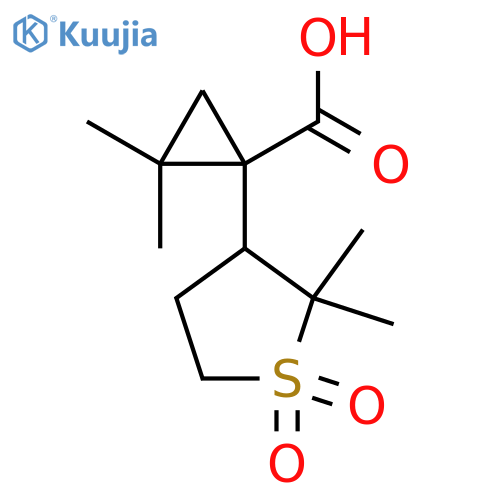 1-(2,2-dimethyl-1,1-dioxo-1lambda6-thiolan-3-yl)-2,2-dimethylcyclopropane-1-carboxylic acid structure