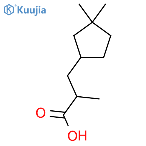 3-(3,3-dimethylcyclopentyl)-2-methylpropanoic acid structure