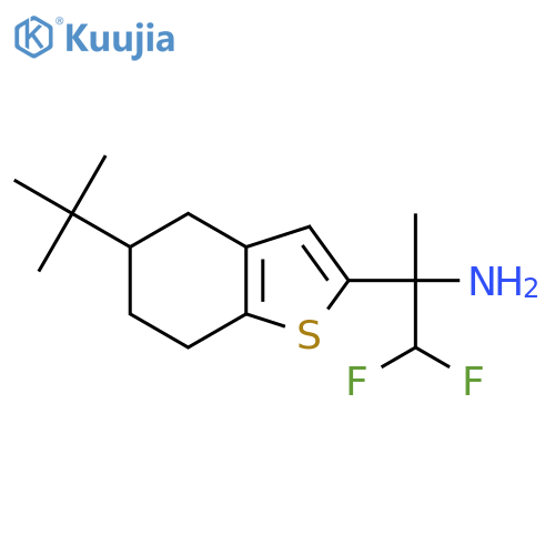 2-(5-tert-butyl-4,5,6,7-tetrahydro-1-benzothiophen-2-yl)-1,1-difluoropropan-2-amine structure