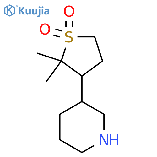2,2-dimethyl-3-(piperidin-3-yl)-1lambda6-thiolane-1,1-dione structure