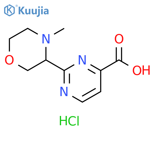 2-(4-methylmorpholin-3-yl)pyrimidine-4-carboxylic acid hydrochloride structure