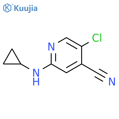 5-chloro-2-(cyclopropylamino)pyridine-4-carbonitrile structure