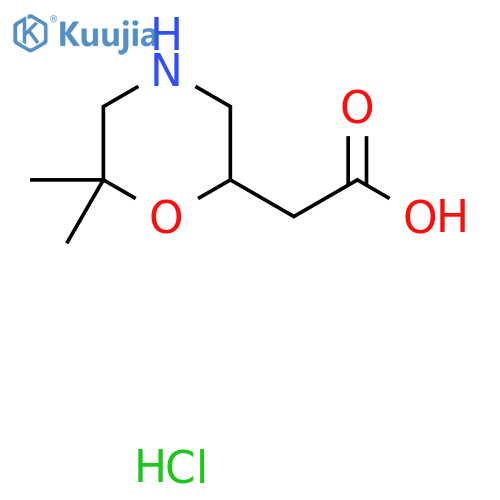 2-(6,6-dimethylmorpholin-2-yl)acetic acid hydrochloride structure