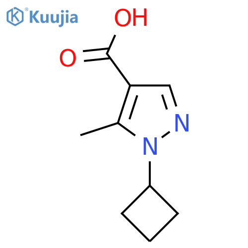 1-Cyclobutyl-5-methylpyrazole-4-carboxylic acid structure