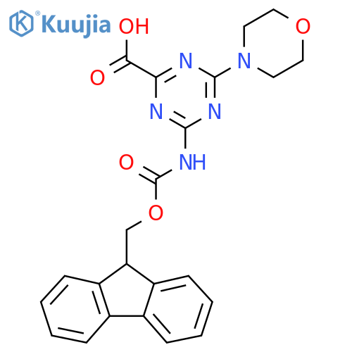 4-({[(9H-fluoren-9-yl)methoxy]carbonyl}amino)-6-(morpholin-4-yl)-1,3,5-triazine-2-carboxylic acid structure