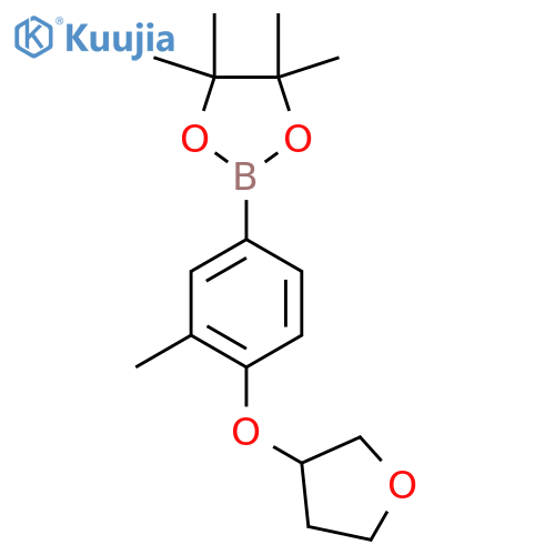4,4,5,5-tetramethyl-2-3-methyl-4-(oxolan-3-yloxy)phenyl-1,3,2-dioxaborolane structure