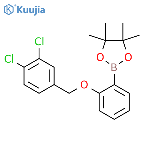 1,3,2-Dioxaborolane, 2-[2-[(3,4-dichlorophenyl)methoxy]phenyl]-4,4,5,5-tetramethyl- structure