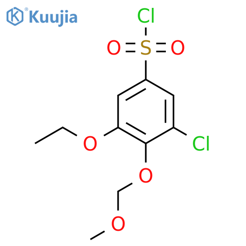 3-Chloro-5-ethoxy-4-(methoxymethoxy)benzene-1-sulfonyl chloride structure