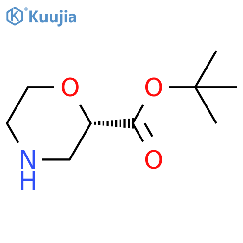 tert-butyl (2S)-morpholine-2-carboxylate structure
