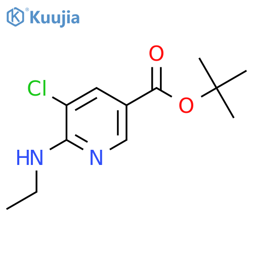 Tert-butyl 5-chloro-6-(ethylamino)pyridine-3-carboxylate structure